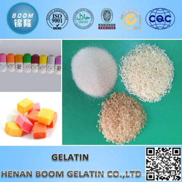 Skin Gelatin for Food Additive
